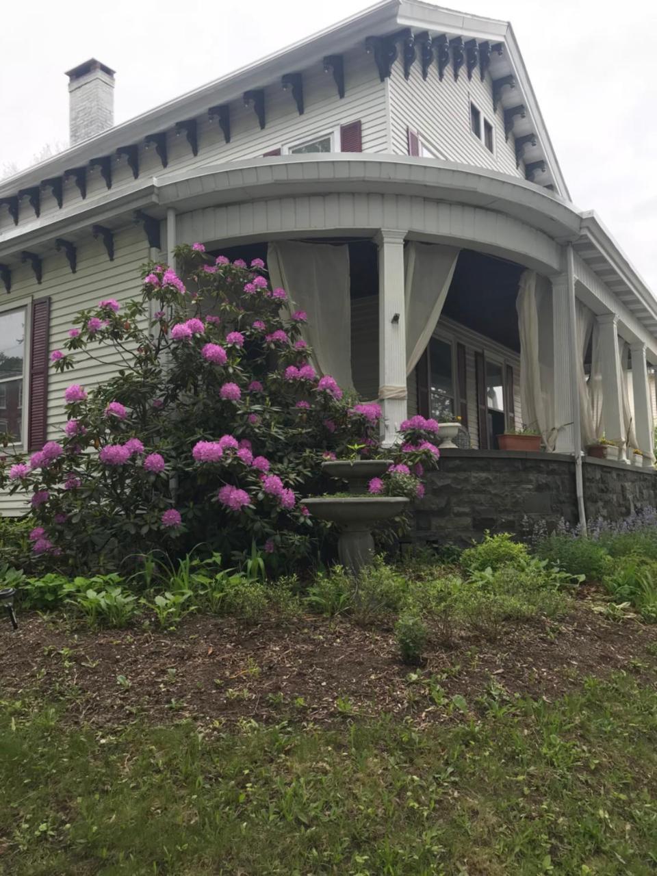 Bel'S Inn Bed And Breakfast Kingston Exterior foto